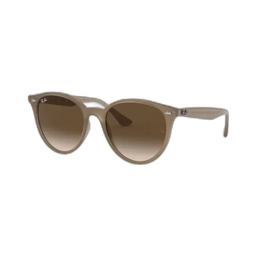 Rb4305 Round Frame Sunglasses