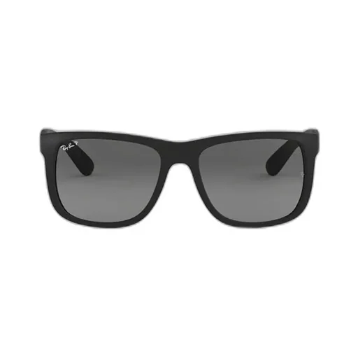 Justin Classic Polarised Sunglasses