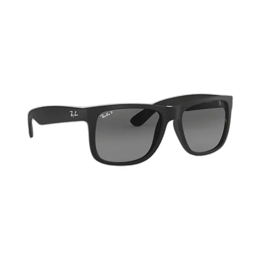 Justin Classic Polarised Sunglasses