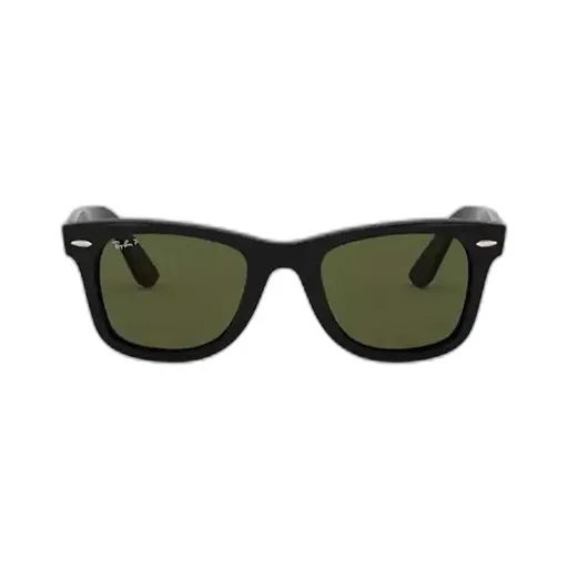 Wayfarer Ease Polarised Sunglasses