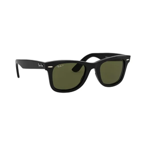 Wayfarer Ease Polarised Sunglasses