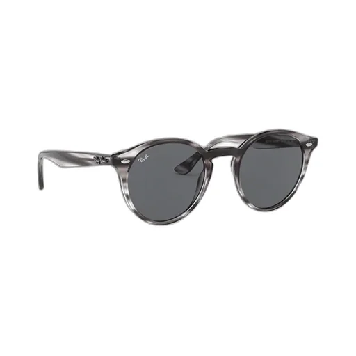 Rb2180 Round Frame Sunglasses