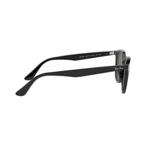 Rb4259 Round Frame Sunglasses