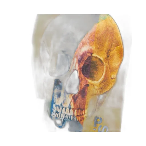 Skull Square T-Shirt