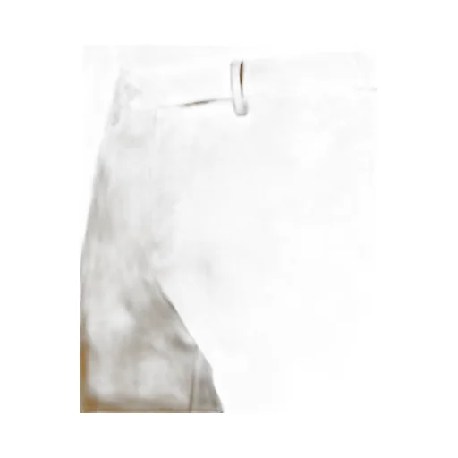 Belt Loop Casual Pants