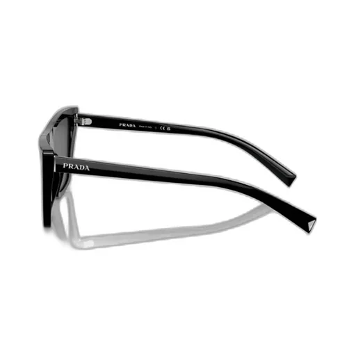Butterfly Frame Sunglasses