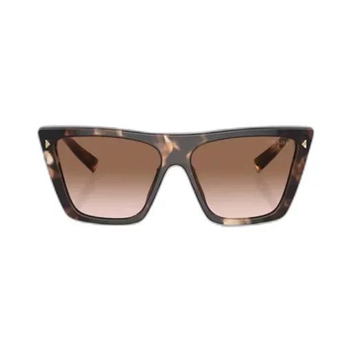 Butterfly Frame Sunglasses