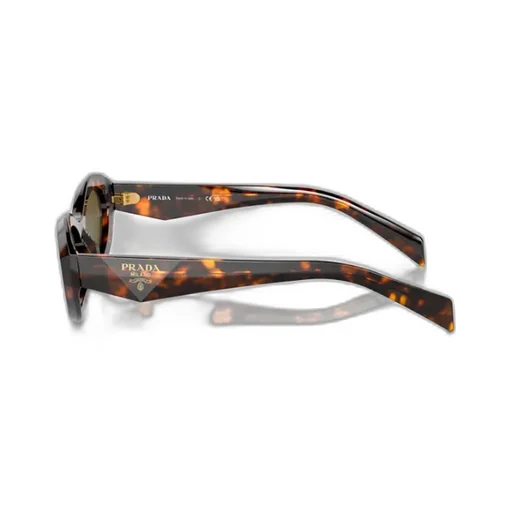 Cat-Eye Sunglasses