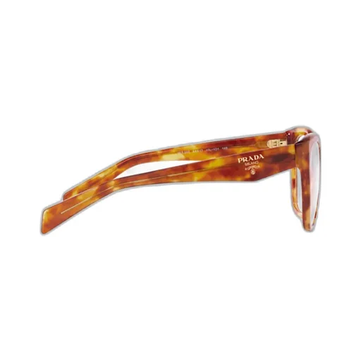 Cat-Eye Glasses