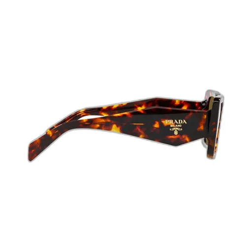 Cat-Eye Frame Sunglasses