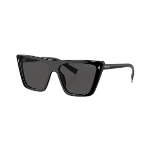 Butterfly Frame Sunglasses