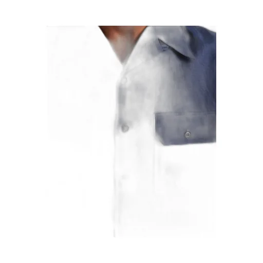 Short-Sleeved Button-Up Shirt