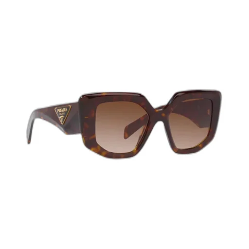 Square Frame Sunglasses