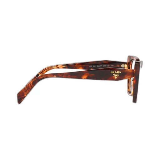Cat-Eye Glasses