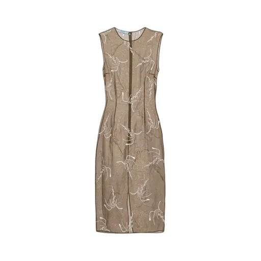 Embroidered Sheer Silk Midi Dress