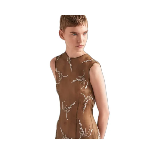 Embroidered Sheer Silk Midi Dress