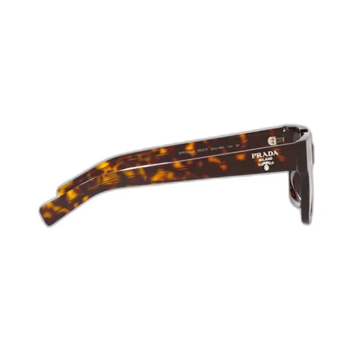 Square Frame Sunglasses