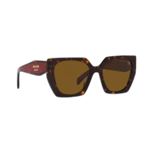 Cat-Eye Sunglasses