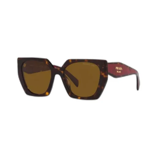 Cat-Eye Sunglasses