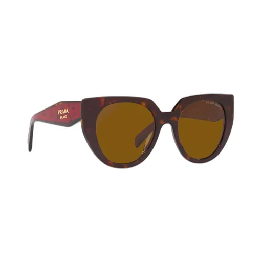 Round Frame Sunglasses