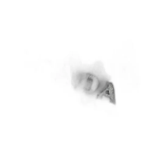 Logo Cashmere Scarf