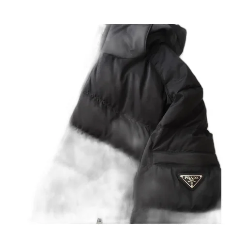 Long-Sleeved Down Jacket