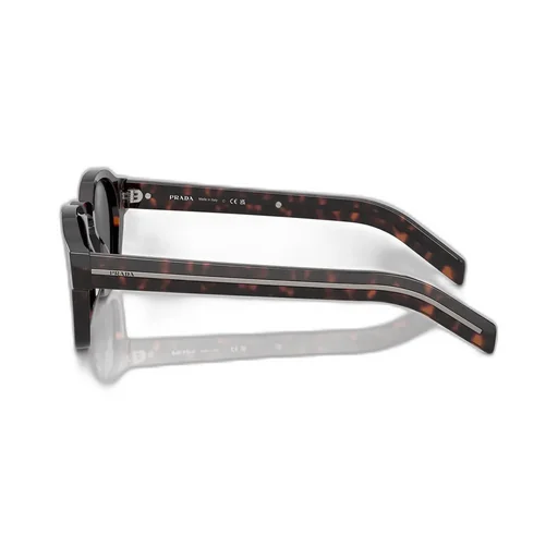 Square Frame Sunglasses