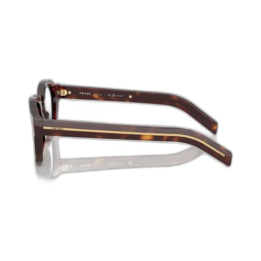 Square Frame Sunglasses