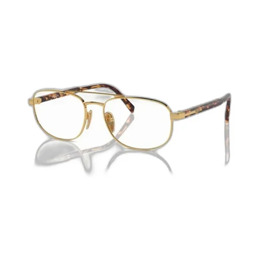 Aviator Glasses