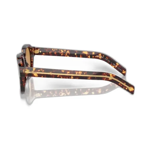 Square Frame Sunglasses
