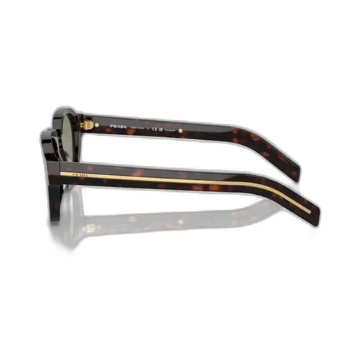 Square Frame Sunglasses