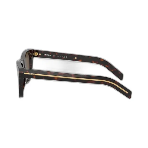 Square Frame Sunglasses
