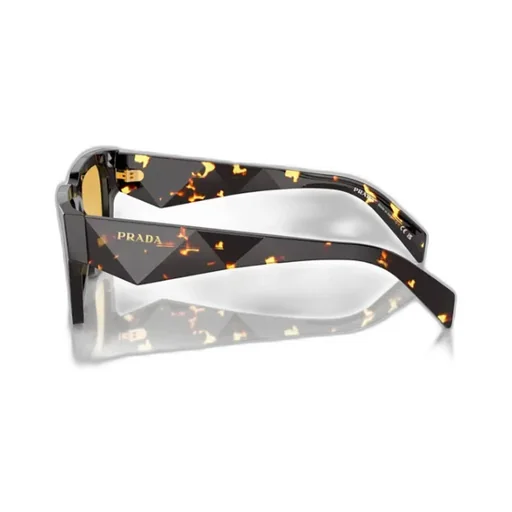 Square Frame Sunglasses
