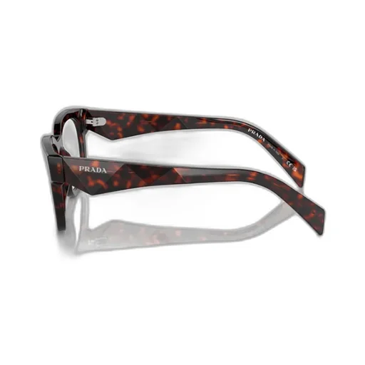 Square Frame Glasses