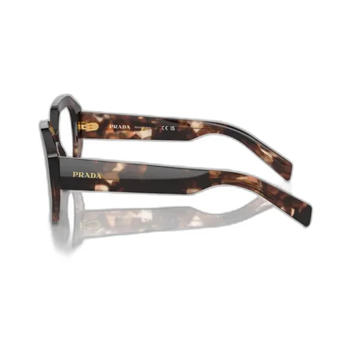 Cat-Eye Glasses