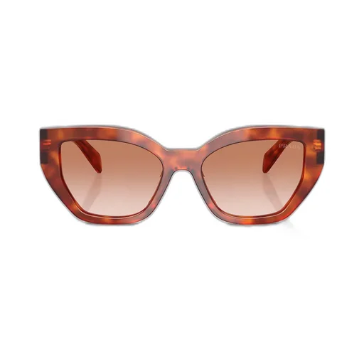 Butterfly Frame Sunglasses