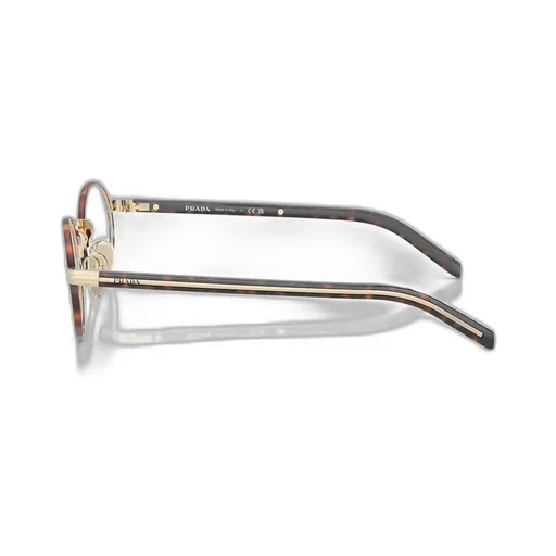 Oval-Frame Glasses