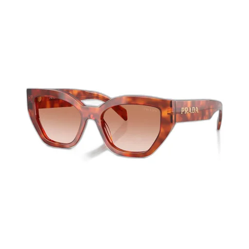 Butterfly Frame Sunglasses