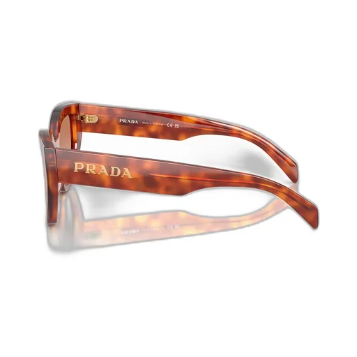 Butterfly Frame Sunglasses