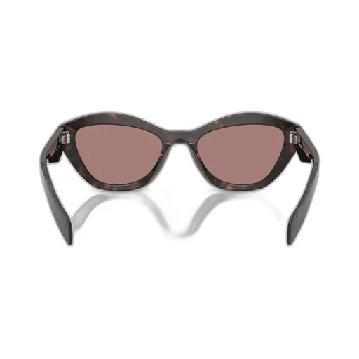 Full Frame Sunglasses