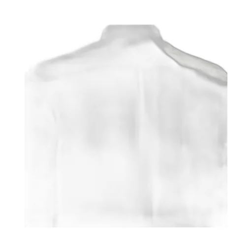 Long-Sleeved Button-Up Shirt