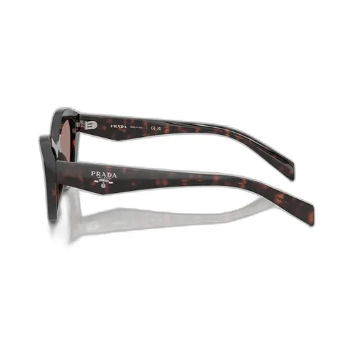 Full Frame Sunglasses