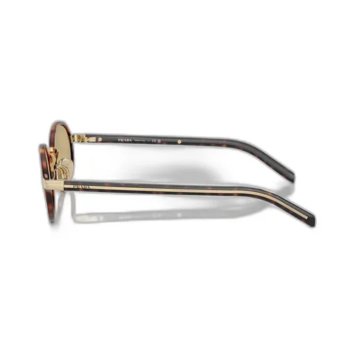 Oval Frame Sunglasses