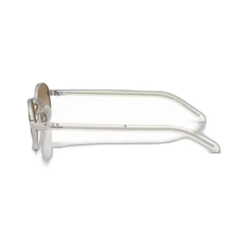 Oval Frame Sunglasses