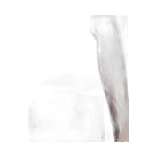 Cotton Polo Shirt