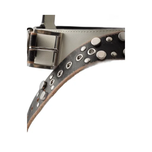 Buckle Leather Bucket Bag With Studded Belt