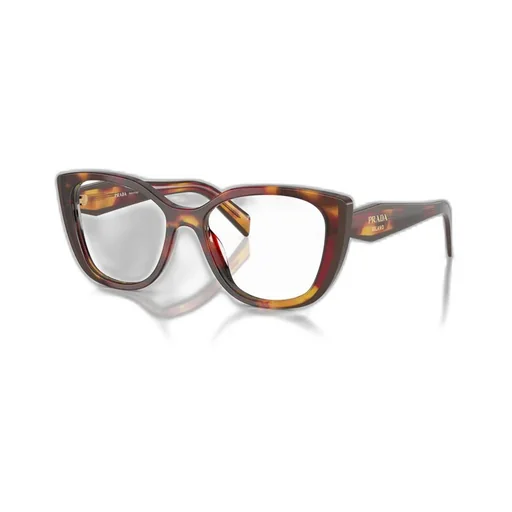 Cat-Eye Glasses