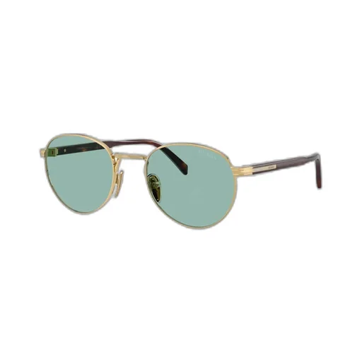 Oval Frame Sunglasses