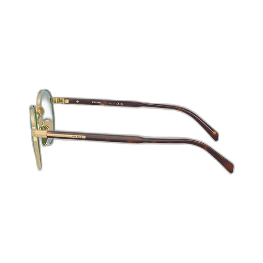 Oval Frame Sunglasses