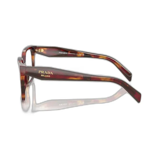 Square Frame Glasses